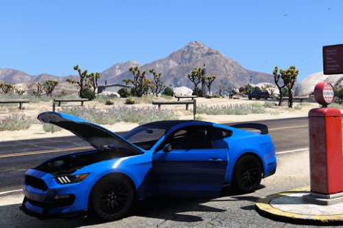 Aige's Mustang GT / Shelby GT350r Realistic Handling